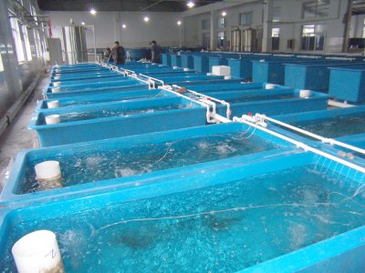 水产养殖技术